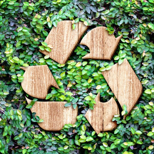 Environmentally Sustainable Business Practices