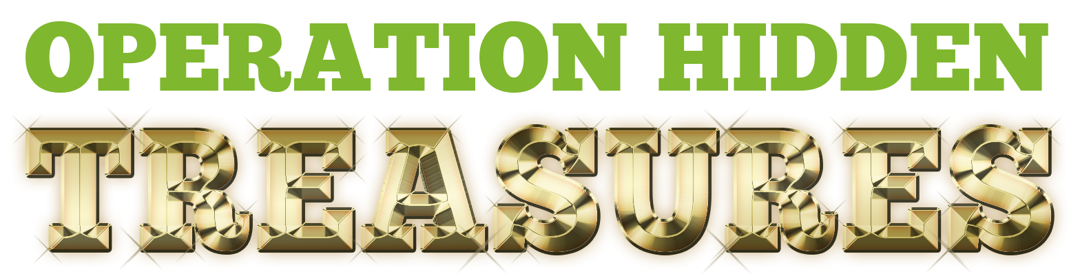 Operation Hidden Treasures